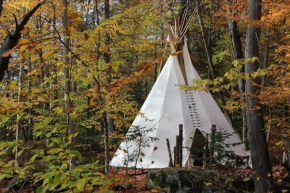 O Micmacs Tipi